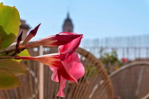 Appartement Plein Coeur Centre Historique De Málaga Eksteriør bilde