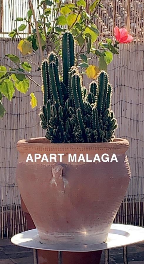 Appartement Plein Coeur Centre Historique De Málaga Eksteriør bilde